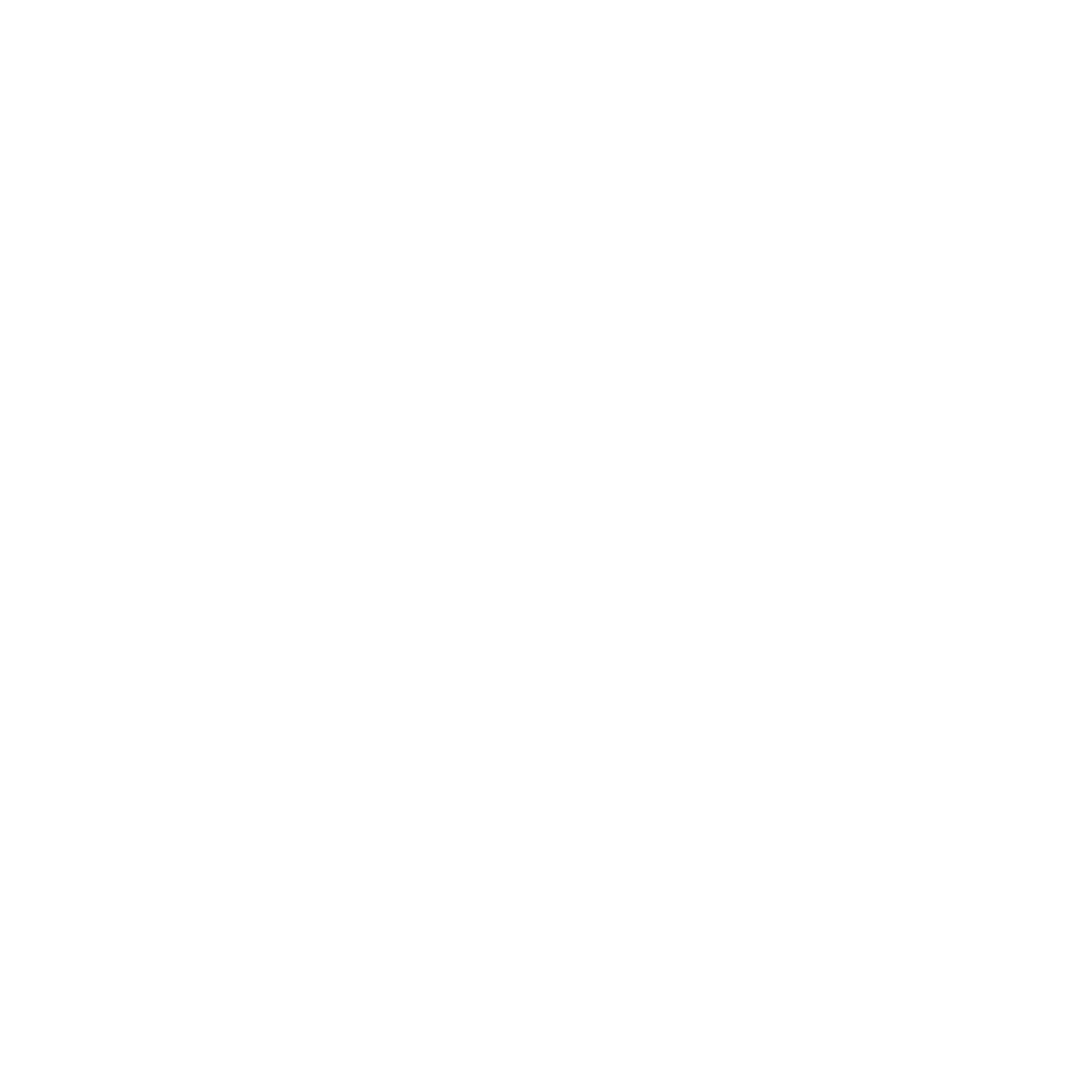 Bear Hill Studios