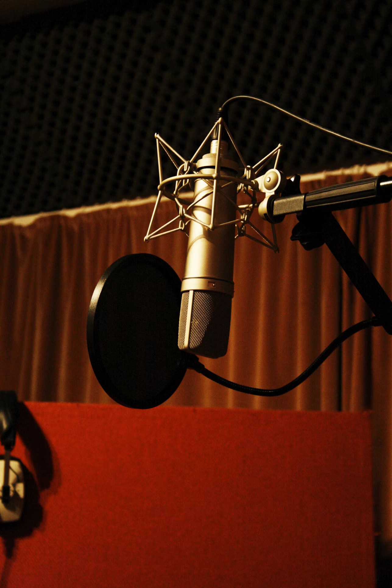Microphone set up in the acoustically treated recording booth